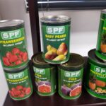 Fruit Canned